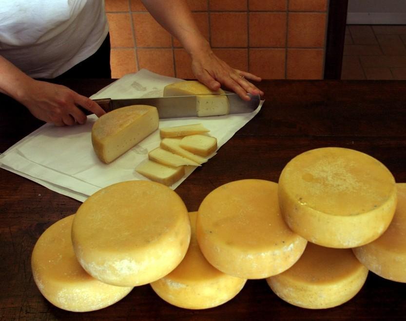 Pecorino, ecco l’altra eccellenza a Ventasso