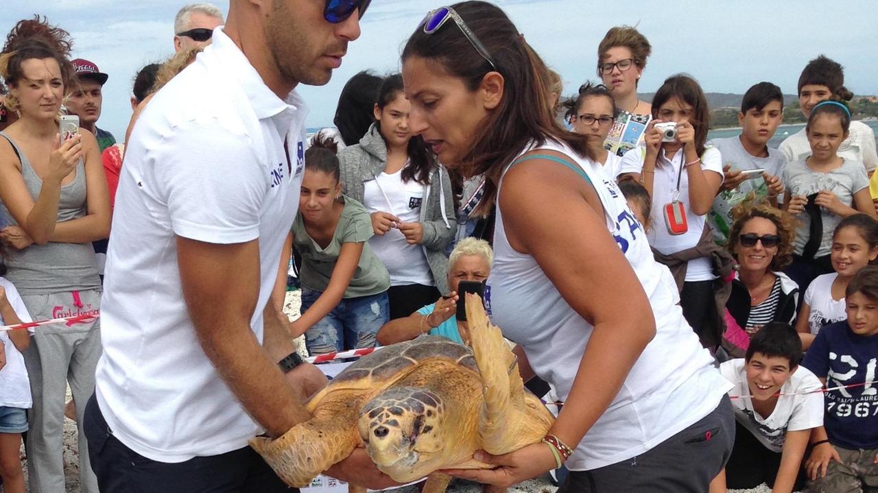 Stintino, liberato nelle acque delle Saline un esemplare di Caretta caretta