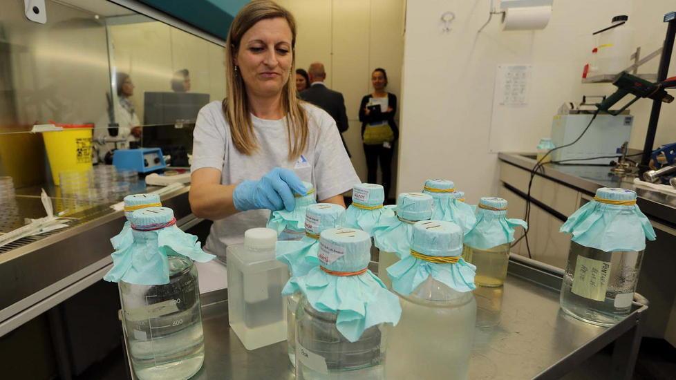 I controlli in uno dei laboratori di Acque (foto d’archivio)