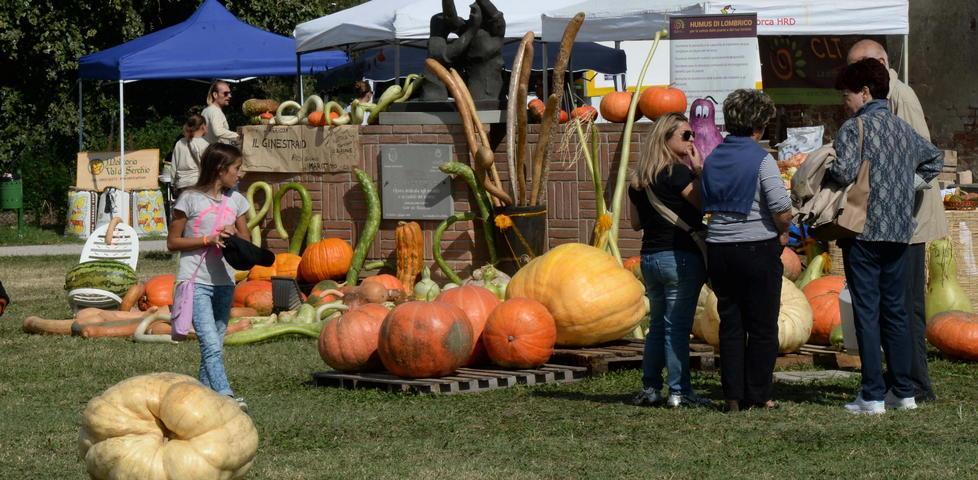 Prima il peperoncino poi la zucca gigante È La Rotta delle sfide