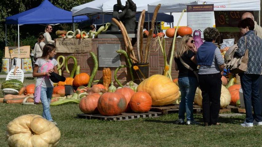Prima il peperoncino poi la zucca gigante È La Rotta delle sfide