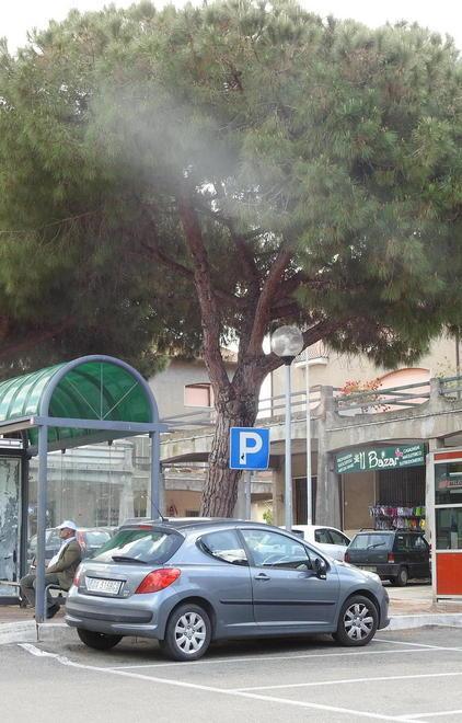 Aiuto, Fonteblanda è invasa dai topi 