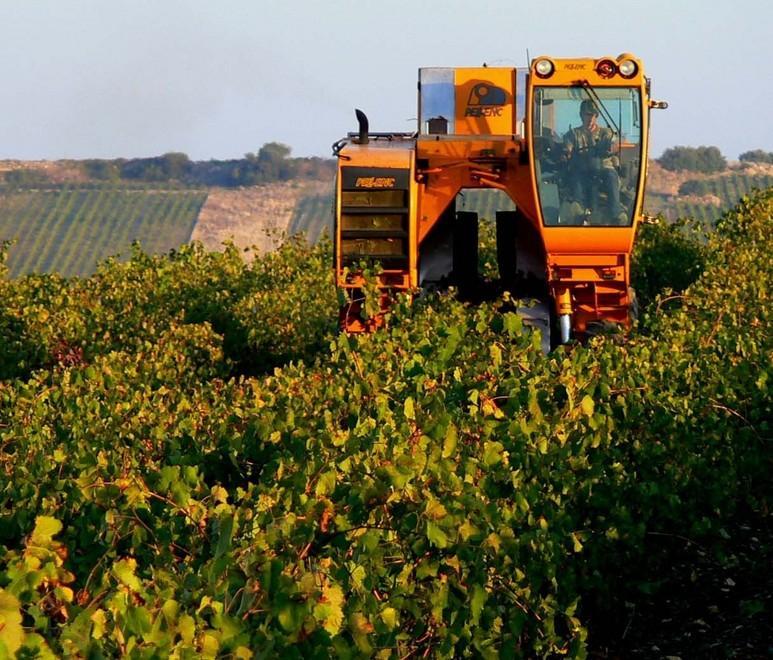 Incontro sul credito in agricoltura 