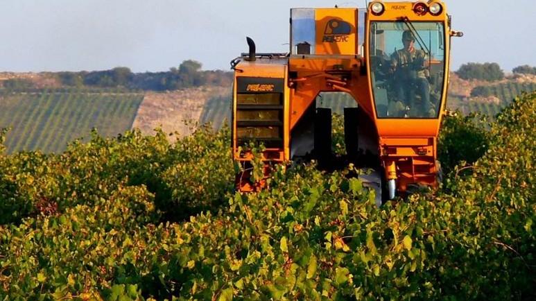 Incontro sul credito in agricoltura