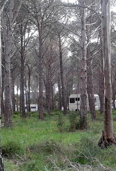 La giunta: «Camping Le Ginestre, costretti a fare causa»
