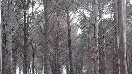 La giunta: «Camping Le Ginestre, costretti a fare causa»