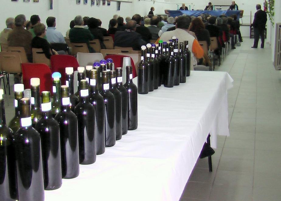 Vini nebbiolo, parlano gli esperti 