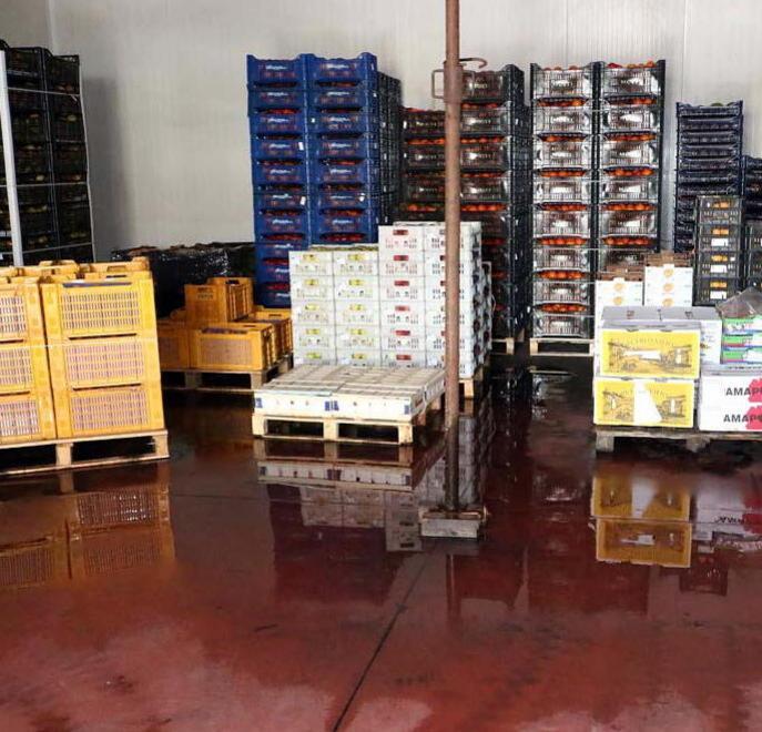 «Il mercato della frutta di Massa è ridotto a un colabrodo» 