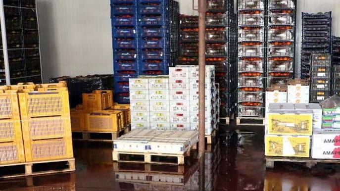 «Il mercato della frutta di Massa è ridotto a un colabrodo»