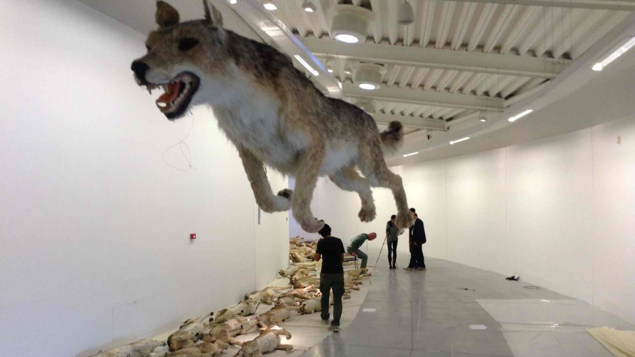 I lupi di Cai Guo Qiang al Museo Pecci (foto Batavia)