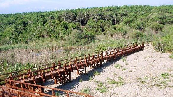 Puliamo il... parco, domani iniziativa all’Orto delle Dune