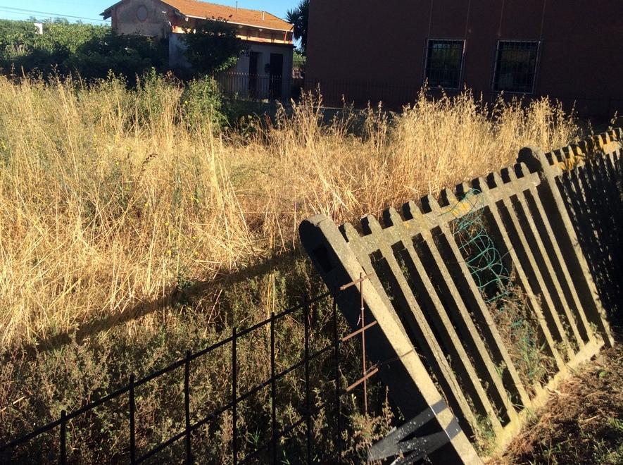 Dagli espropri al degrado la via Aurelia in consiglio 