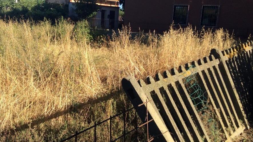 Dagli espropri al degrado la via Aurelia in consiglio