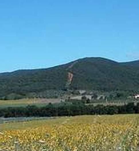 Siringhe, sporcizia e strani giri I residenti chiedono controlli 