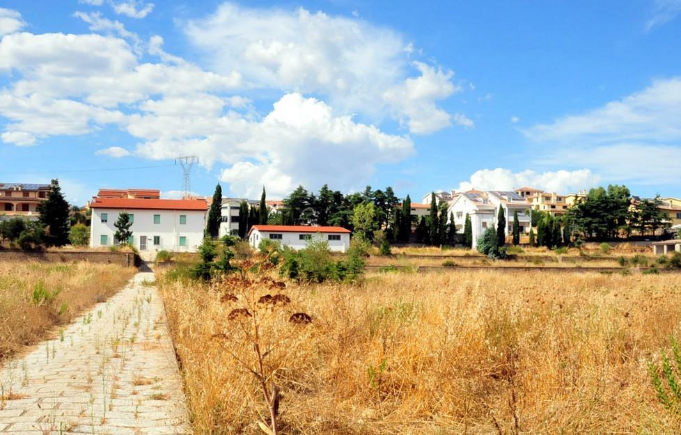 Crisponi: dov’è finita la scuola forestale? 