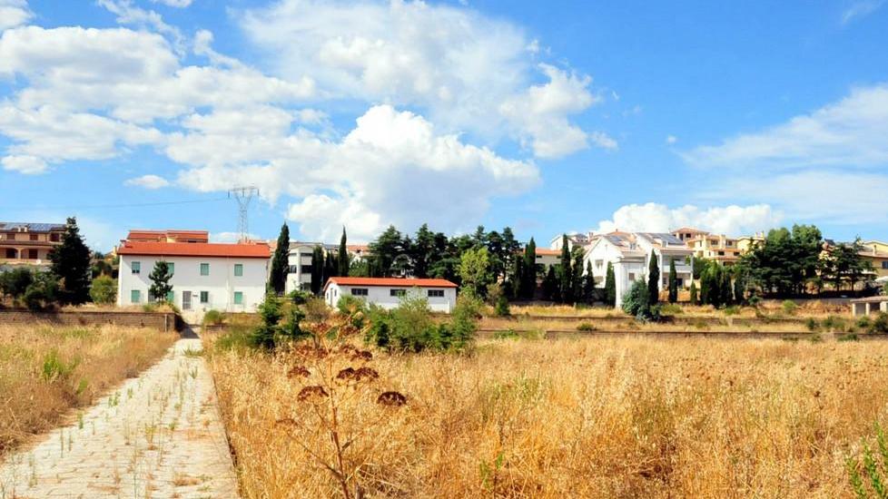 Crisponi: dov’è finita la scuola forestale?