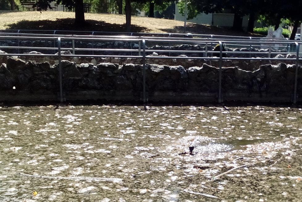 Un “nuovo” laghetto per il BonviParken