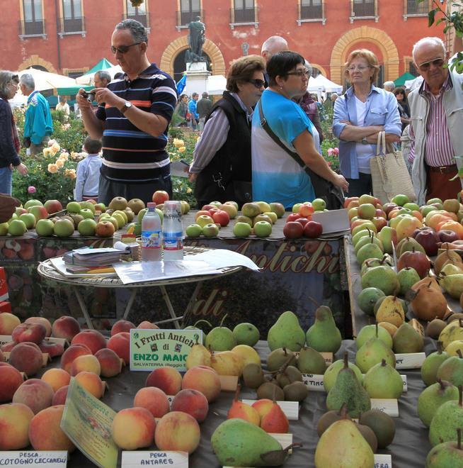 Per due giorni Guastalla è l’arca della biodiversità 