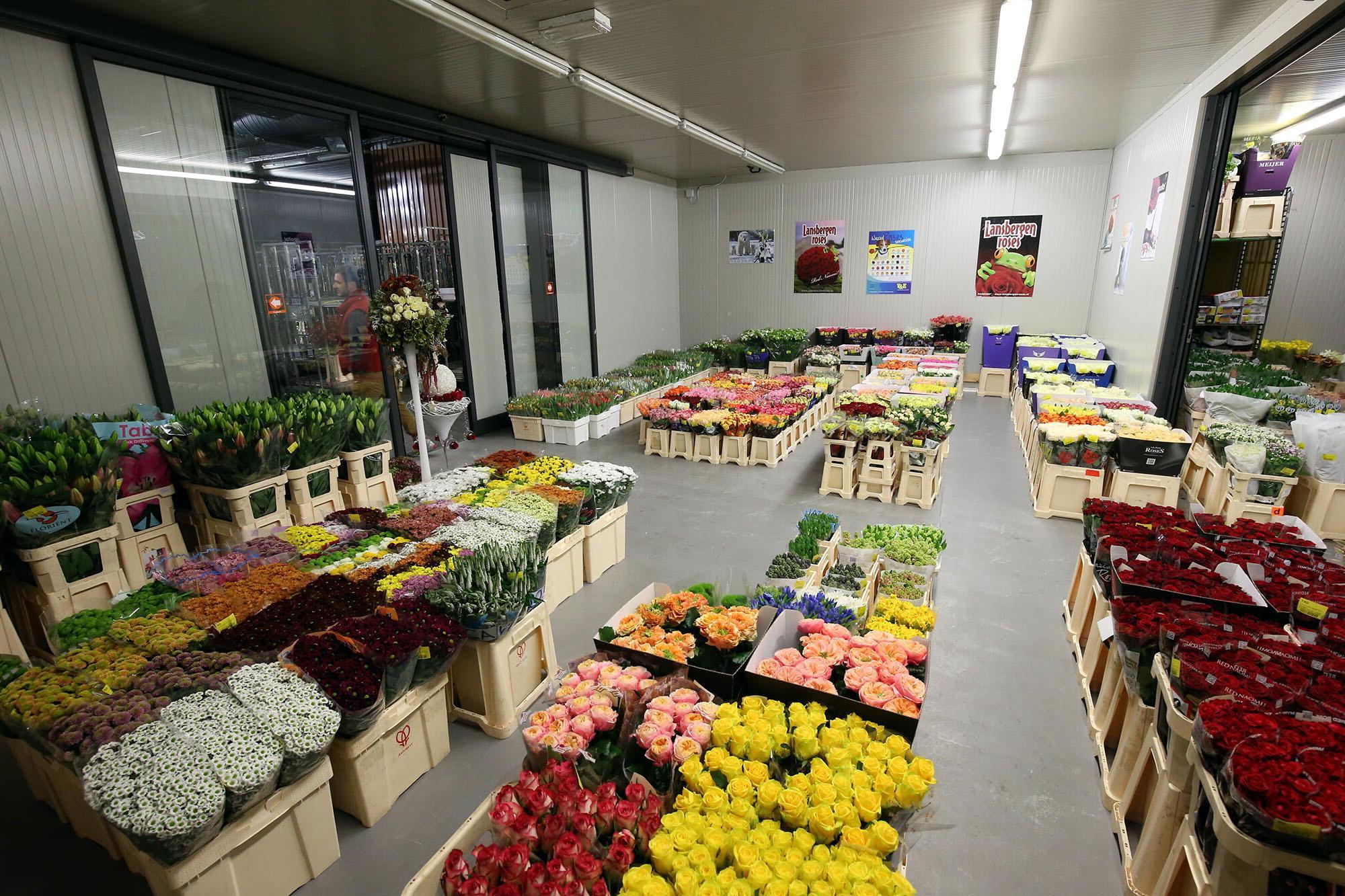 Il mercato dei fiori di Pescia (foto d'archivio)