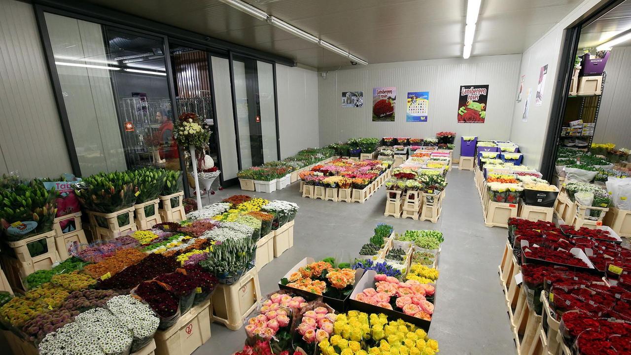 Il mercato dei fiori di Pescia (foto d'archivio)