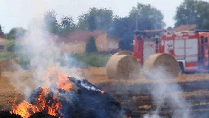 Incendio a Poviglio, distrutte dal rogo cinquanta rotoballe