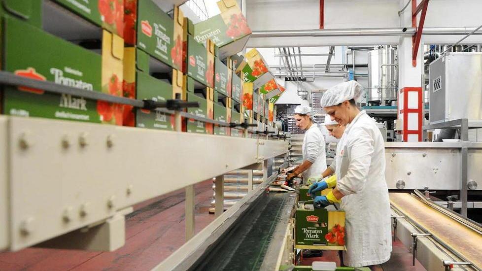 Petti, stagione boom per il pomodoro
