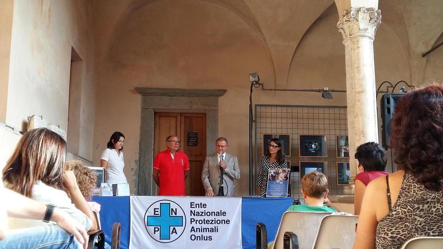 La vita dei randagi tra gli scorci della città