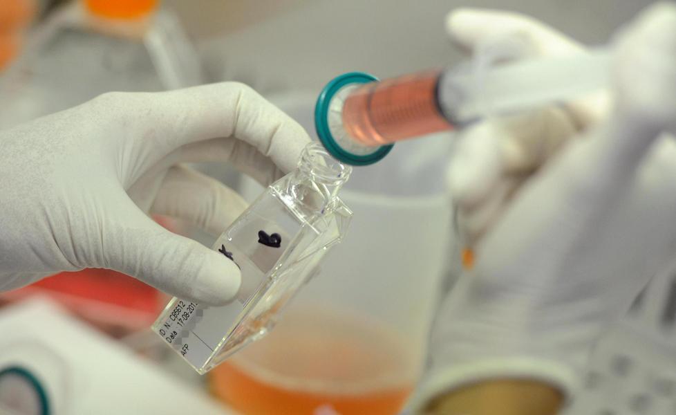 Urzulei, Dna e privacy il sindaco Arba si mobilita 