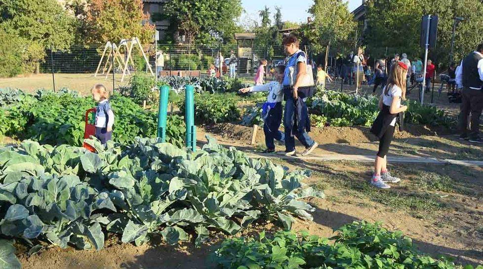 Parco Ottavi diventa un orto ieri il taglio del nastro 