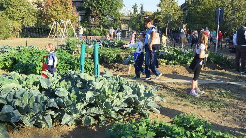 Parco Ottavi diventa un orto ieri il taglio del nastro