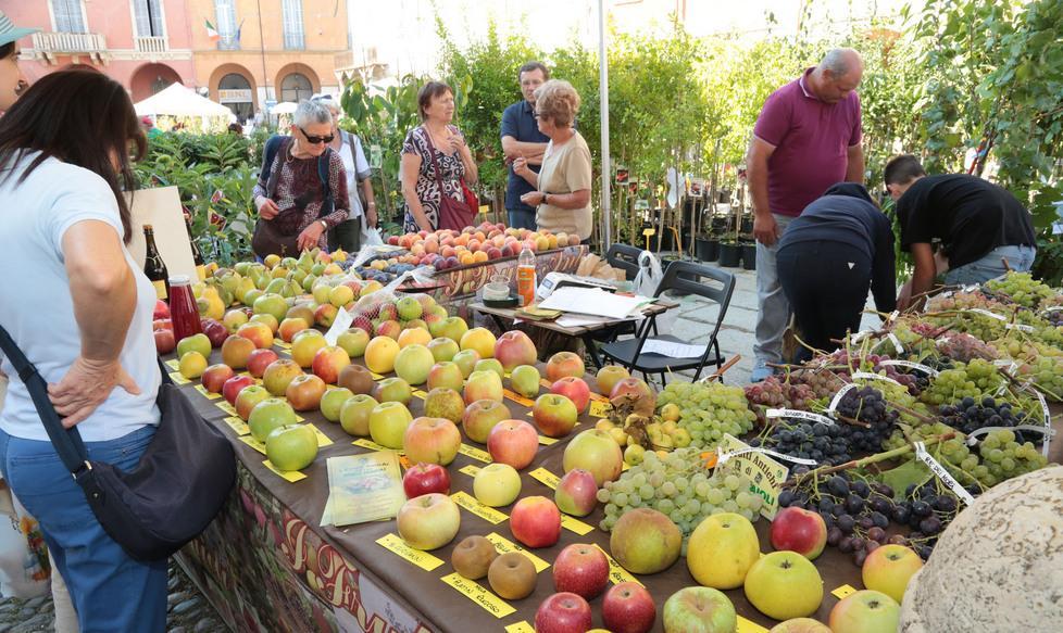 Piante e animali, folla a Guastalla 