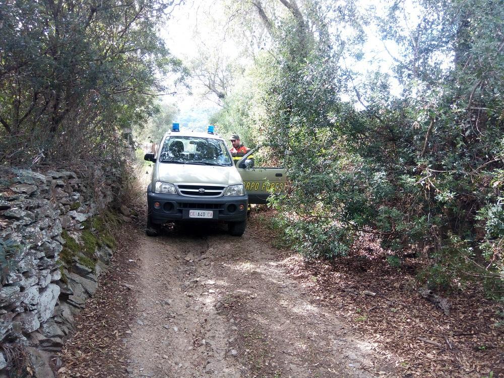 La strada in cui si sono smarriti i due fidanzati