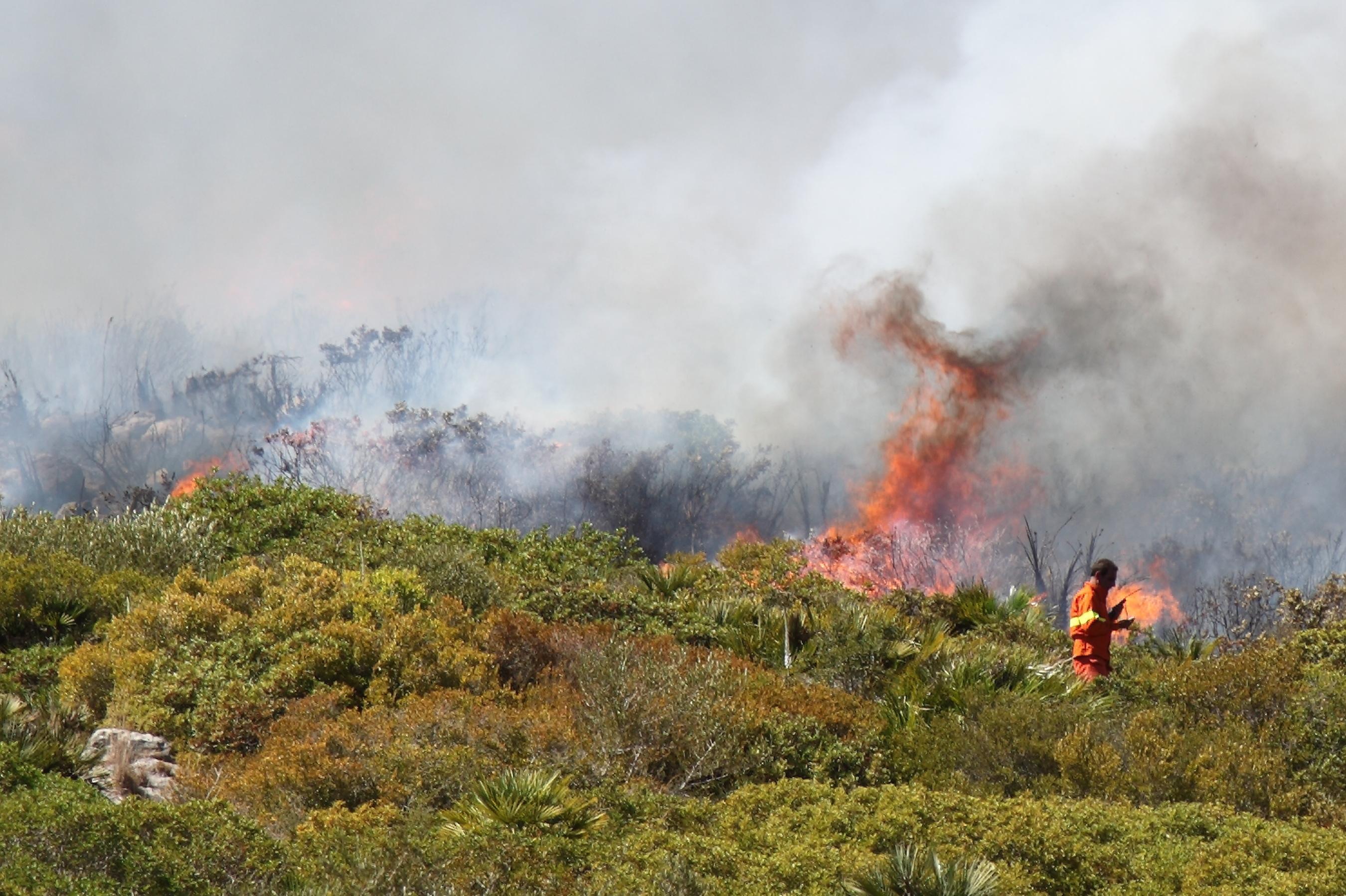 Un incendio nelle campagne sarde