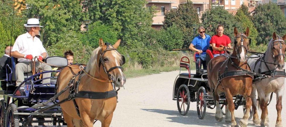 Il rilancio dell’ippodromo con un nuovo centro ippico 