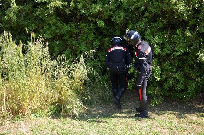 I carabinieri durante l'operazione nel bosco