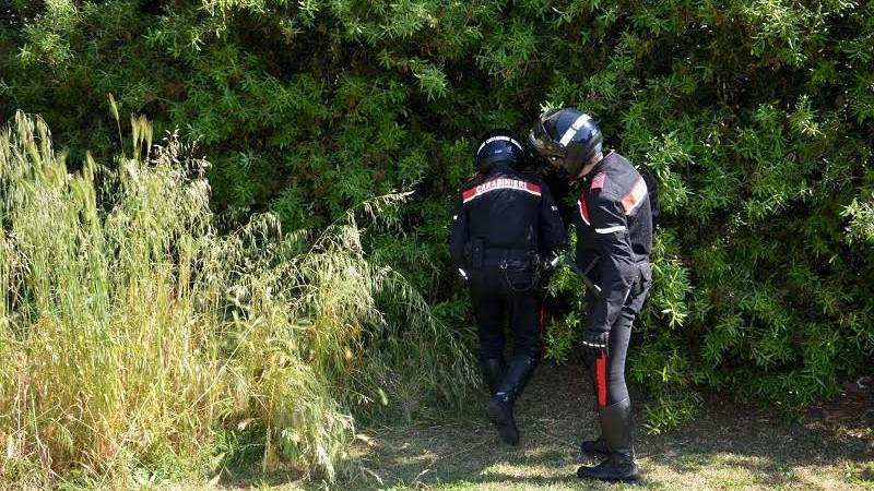 I carabinieri durante l'operazione nel bosco