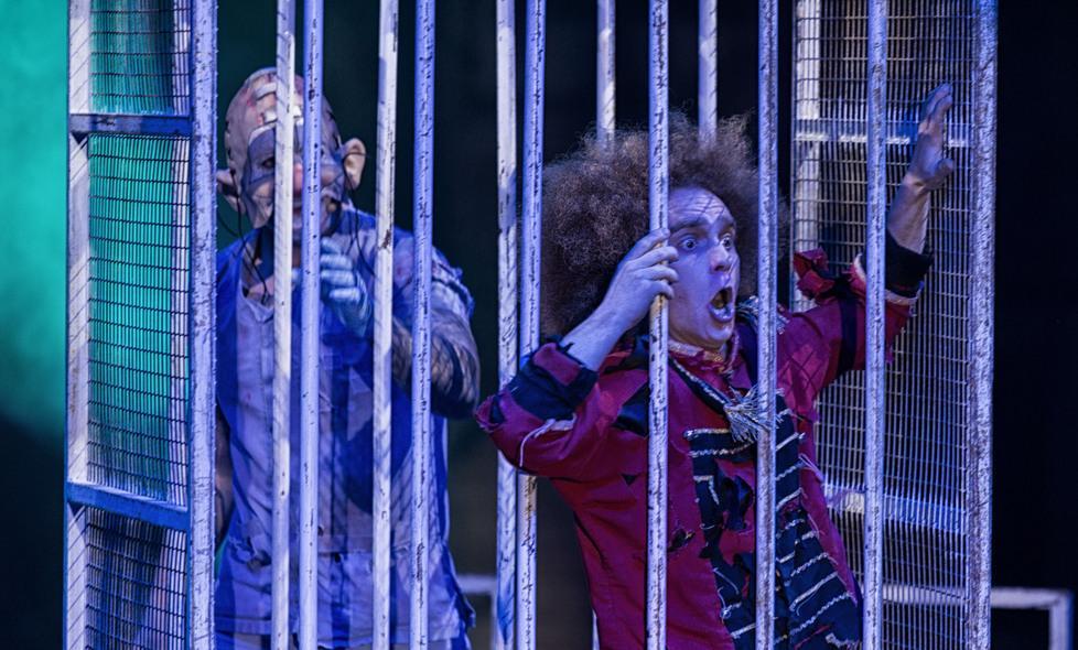 Psychiatri Circus: i primi 100 lettori entrano gratis 