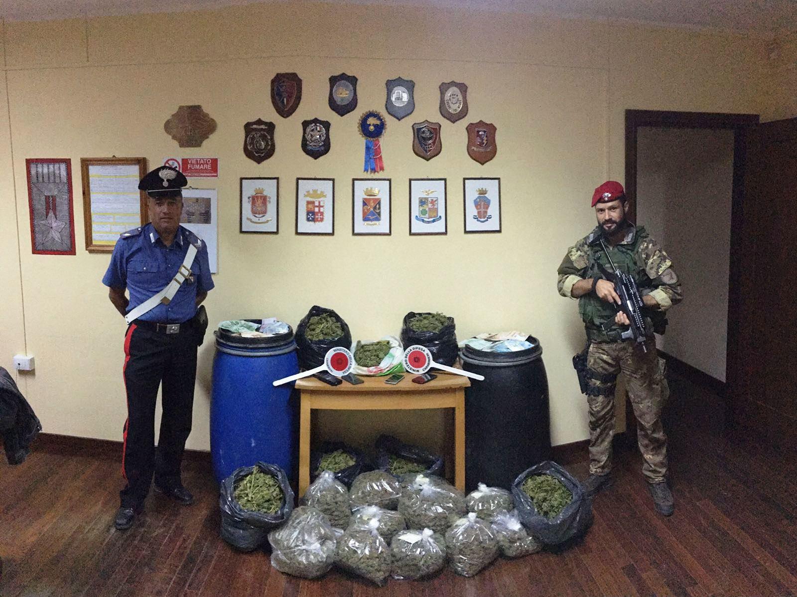 Droga e denaro nell'ovile, quattro arresti a Silanus