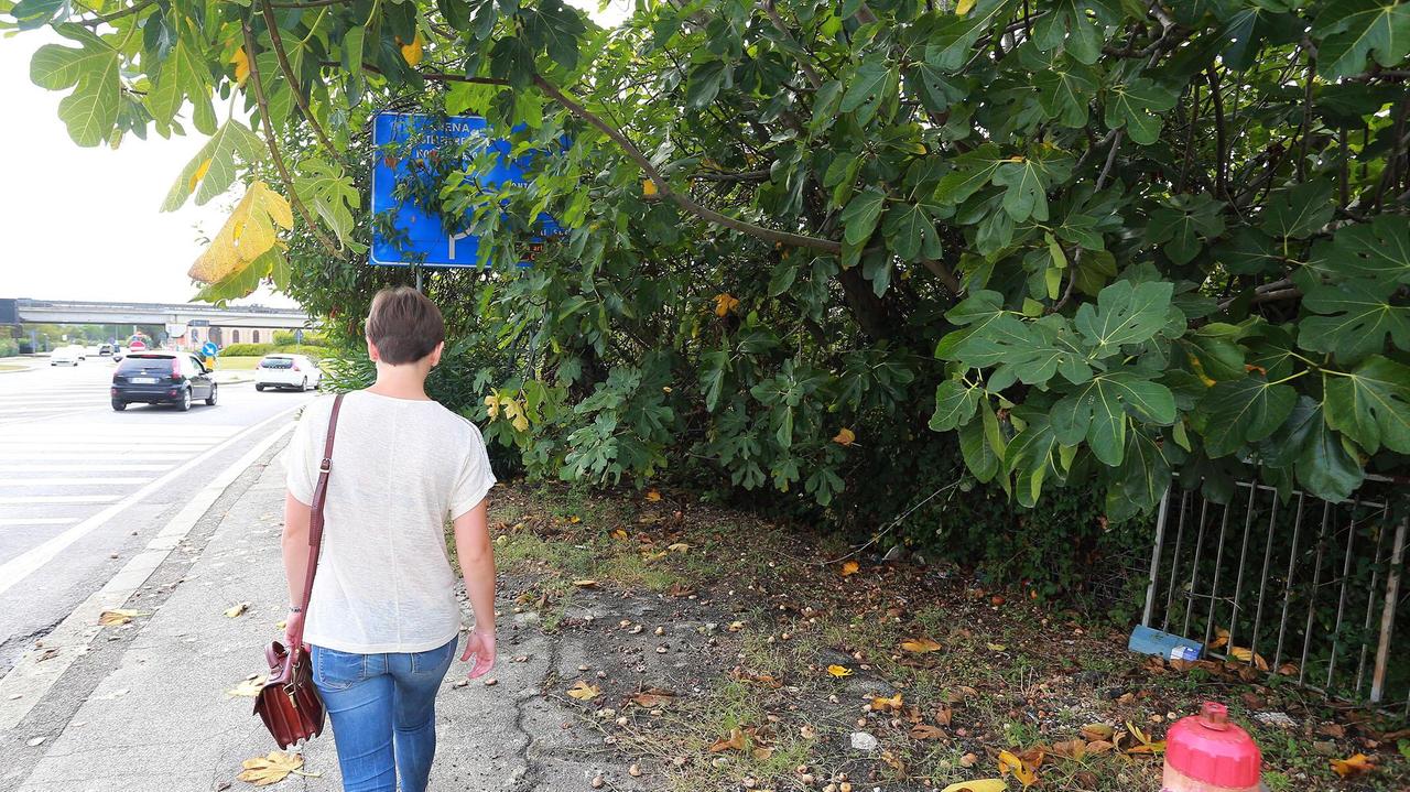 L'area dove deve essere costruito il parcheggio (foto agenzia Sestini)