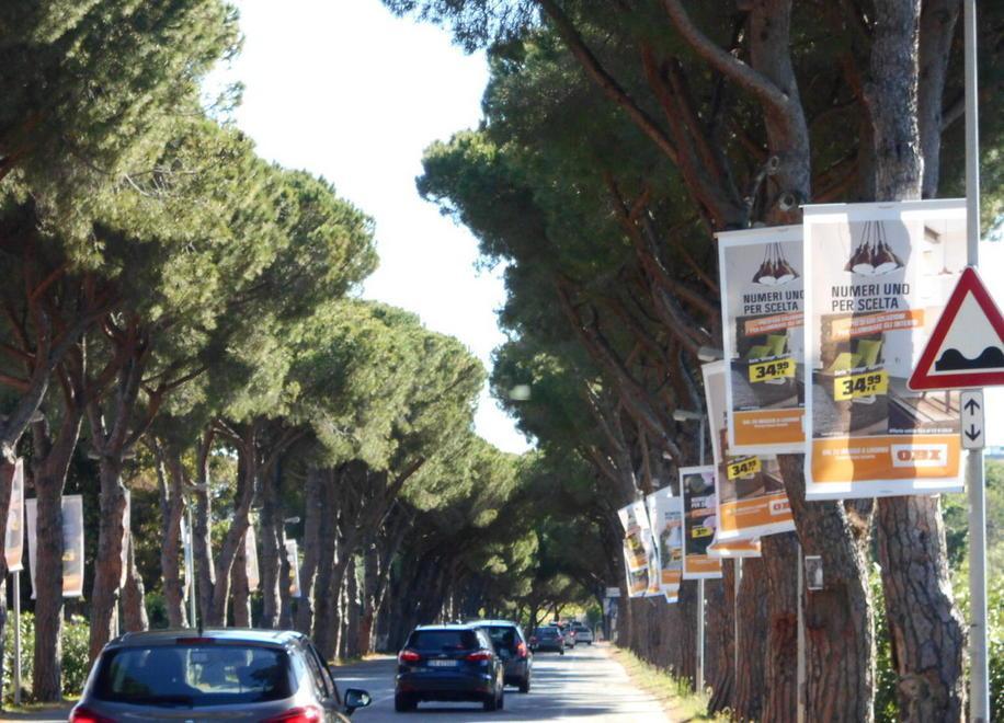 Parte stamani l’asfaltatura di viale della Repubblica