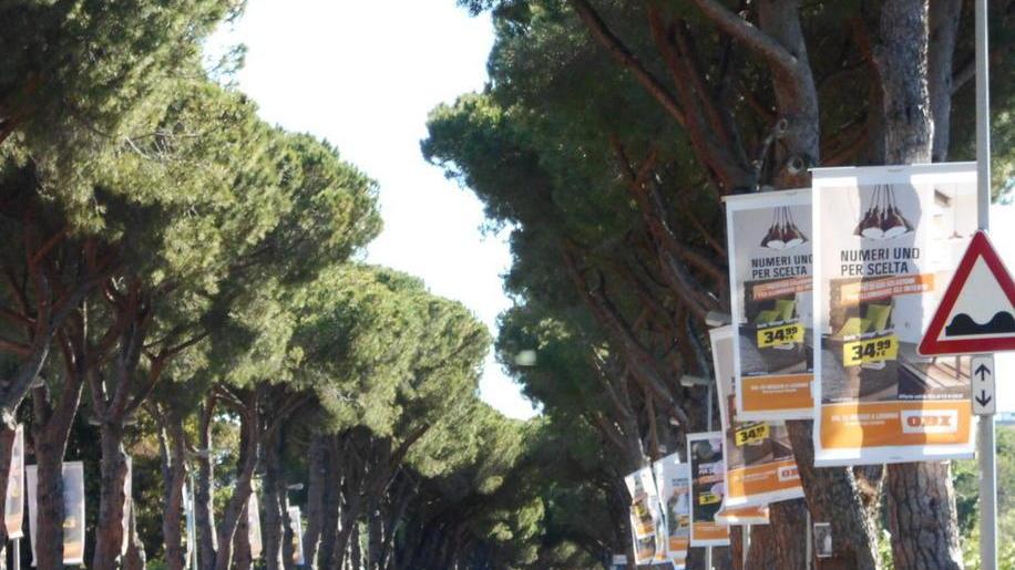 Parte stamani l’asfaltatura di viale della Repubblica