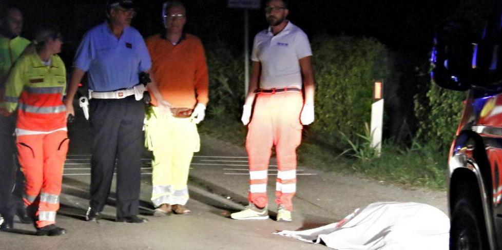 Acquisiti i filmati dell’urto col cinghiale