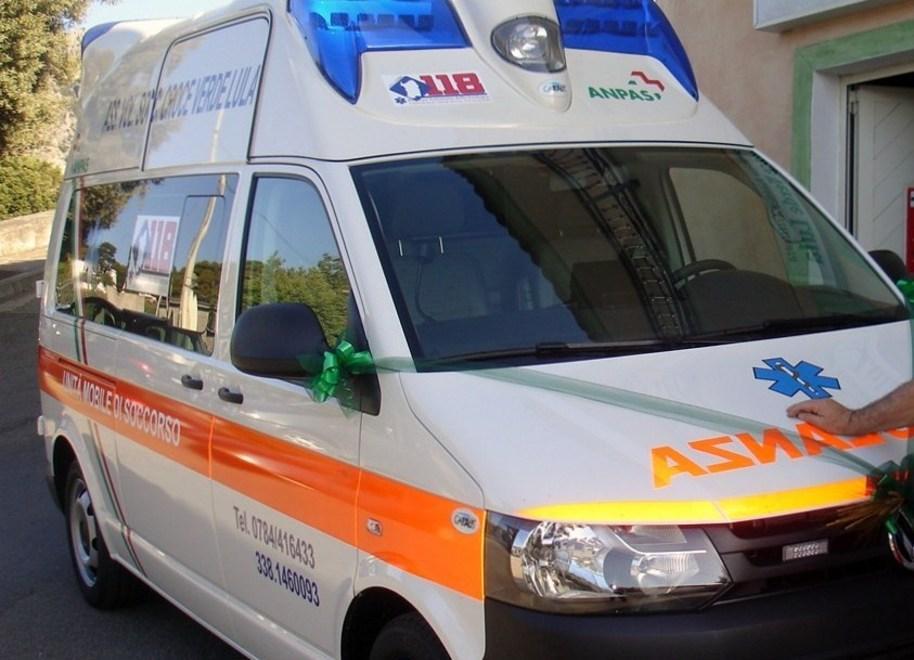 Pensionato cade da un albero ricoverato in gravi condizioni