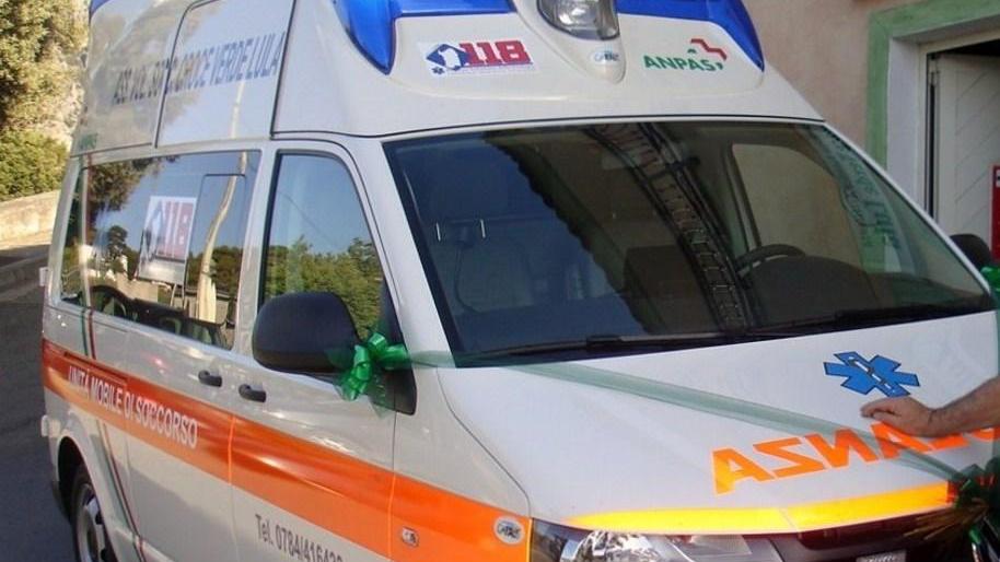 Pensionato cade da un albero ricoverato in gravi condizioni