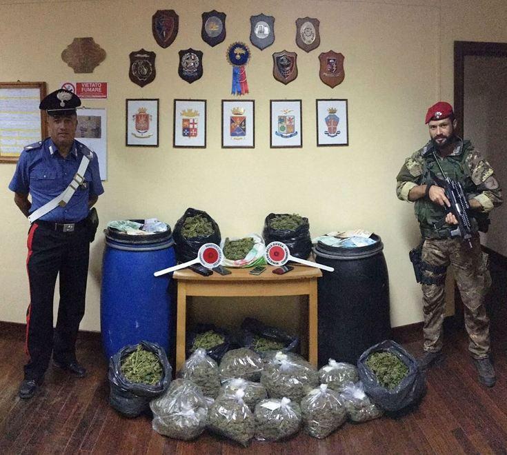 Nell’ovile 13 chili di droga: in cella quattro giovani 