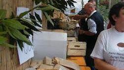 Festa del fungo per due giorni a Zeri e dintorni