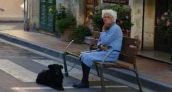 Addio a Gina, amica degli animali 