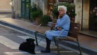 Addio a Gina, amica degli animali