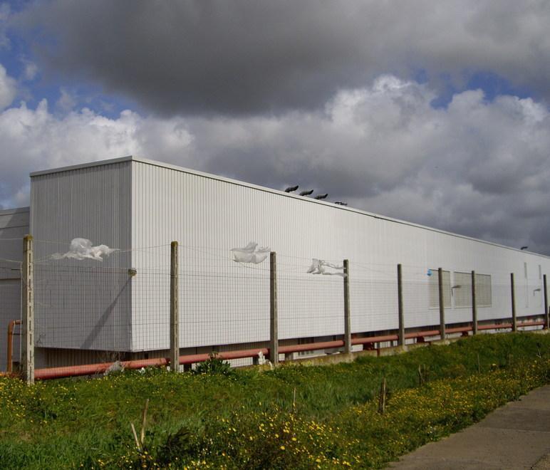 Sarmed, accordo con Nonna Isa 