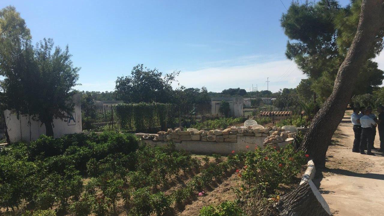 Gli orti coltivati a Pianosa